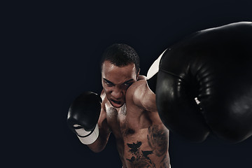 Image showing Boxing training and punching bag