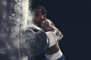 Image showing Boxing training and punching bag