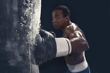 Image showing Boxing training and punching bag