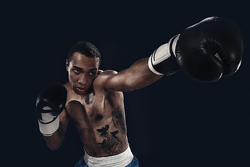 Image showing Boxing training and punching bag