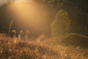 Image showing Beauty dawn in the mountains