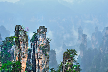 Image showing Zhangjiajie mountains, China