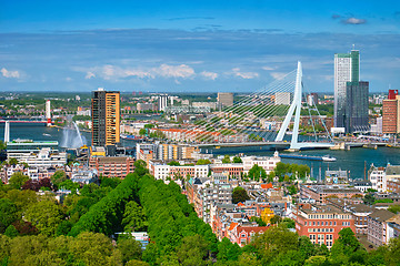 Image showing View of Rotterdam city and the Erasmus bridge