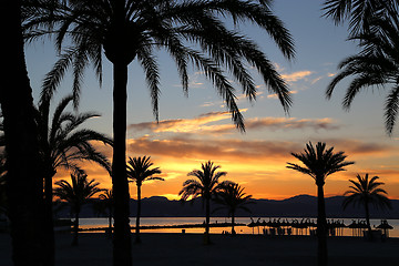 Image showing Beautiful sunset on the beach