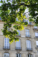 Image showing Branches of spring tree against facade of a typical old building