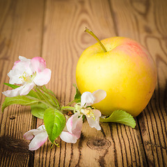 Image showing Ripe apple and blossoming branch of an apple-tree on a wooden su