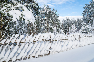 Image showing Snow-covered landscape in the countryside. Viitna, Estonia