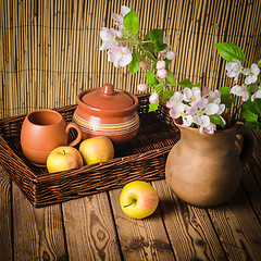 Image showing Ripe apple and blossoming branch of an apple-tree in a clay jar,