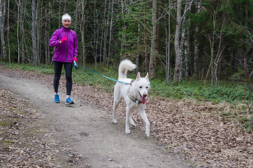 Image showing Woman with a dog on a run in the park