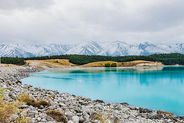 Image showing lake pukak in New Zealand.