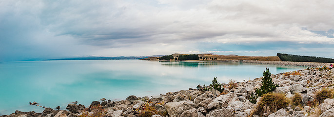 Image showing lake pukak in New Zealand.