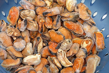 Image showing Frozen Mussels