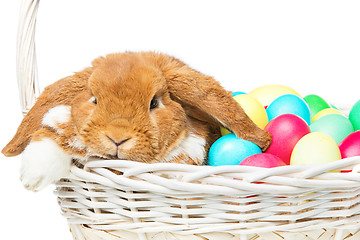 Image showing Beautiful domestic rabbit in basket with eggs