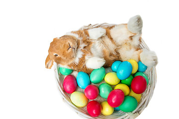 Image showing Beautiful domestic rabbit in basket with eggs
