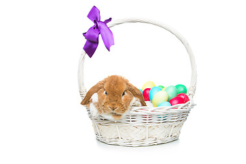 Image showing Beautiful domestic rabbit in basket with eggs
