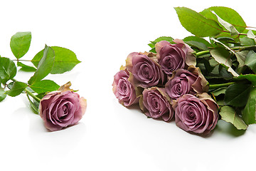 Image showing Beautiful tea rose flowers