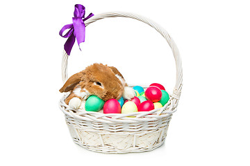 Image showing Beautiful domestic rabbit in basket with eggs