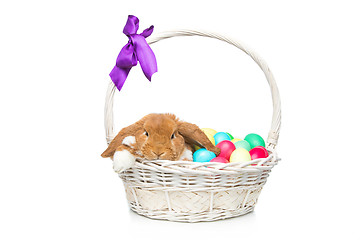 Image showing Beautiful domestic rabbit in basket with eggs