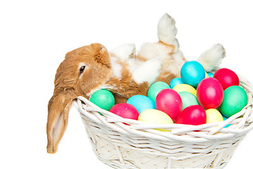 Image showing Beautiful domestic rabbit in basket with eggs