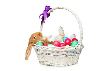 Image showing Beautiful domestic rabbit in basket with eggs