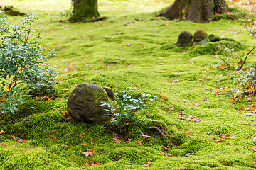 Image showing Garden of sanzenin