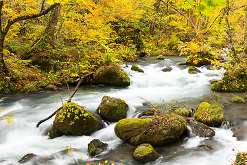 Image showing Japanese Oirase Mountain Stream