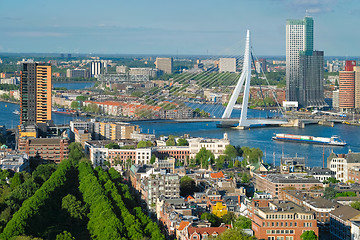 Image showing View of Rotterdam city and the Erasmus bridge