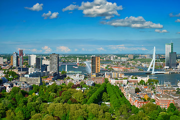 Image showing View of Rotterdam city and the Erasmus bridge