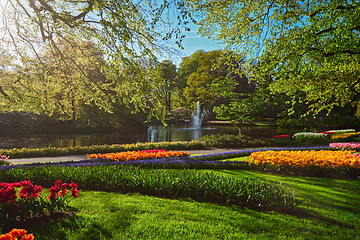 Image showing Keukenhof flower garden. Lisse, the Netherlands.