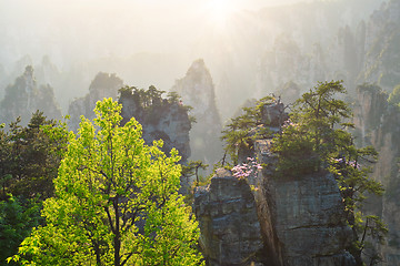 Image showing Zhangjiajie mountains, China