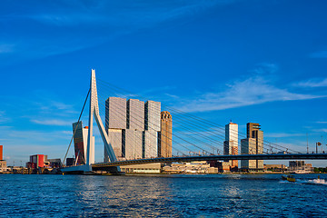 Image showing Rotterdam cityscape ,  Netherlands