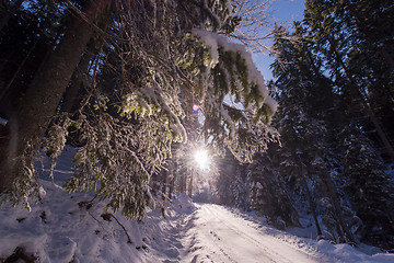 Image showing winter road