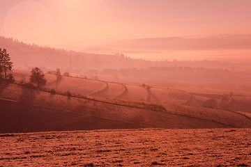 Image showing winter landscape scenic  with lonely tree