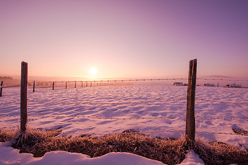 Image showing winter landscape scenic  with lonely tree