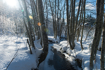 Image showing winter creek ice