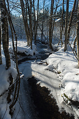 Image showing winter creek ice