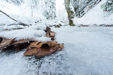 Image showing winter creek ice