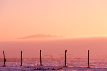 Image showing winter landscape scenic  with lonely tree