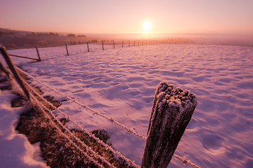 Image showing winter landscape scenic  with lonely tree