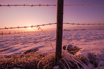 Image showing barbed wire fence in winter