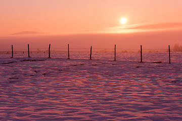 Image showing winter landscape scenic  with lonely tree