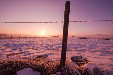 Image showing barbed wire fence in winter