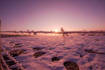 Image showing barbed wire fence in winter