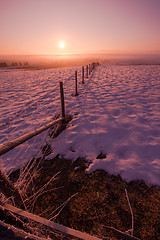 Image showing winter landscape scenic  with lonely tree