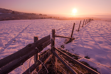 Image showing winter landscape scenic  with lonely tree