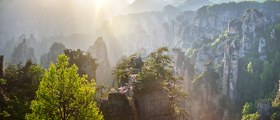 Image showing Zhangjiajie mountains, China