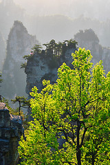 Image showing Zhangjiajie mountains, China