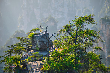 Image showing Zhangjiajie mountains, China