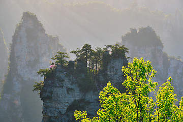 Image showing Zhangjiajie mountains, China