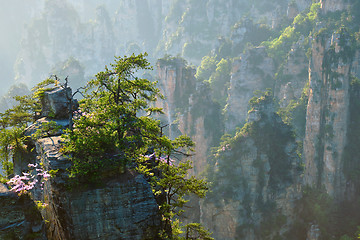 Image showing Zhangjiajie mountains, China